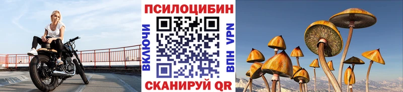 Купить где  Чадан  Псилоцибиновые грибы Cubensis 