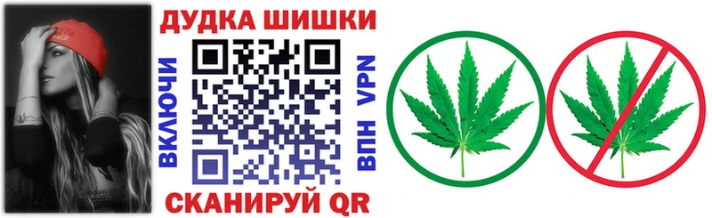 Бошки Шишки семена  Купить закладки  Чадан 